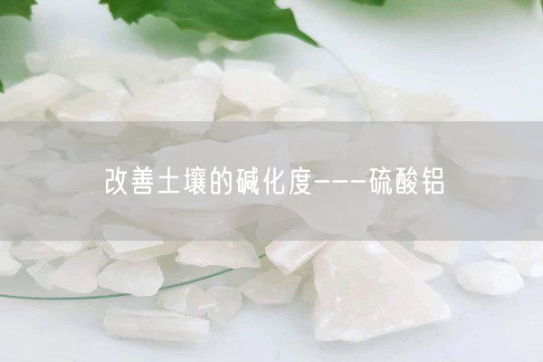 改善土壤的堿化度---硫酸鋁(圖3)