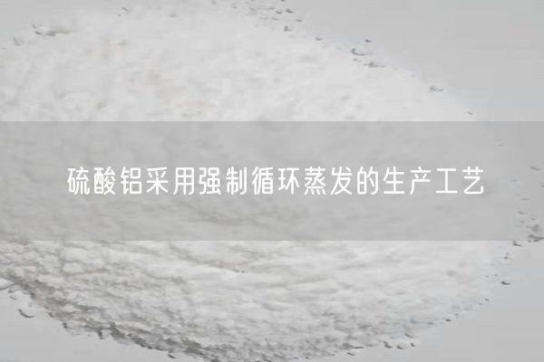 硫酸鋁采用強制循環(huán)蒸發(fā)的生產(chǎn)工藝(圖5)