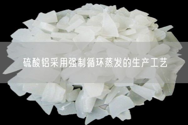 硫酸鋁采用強制循環(huán)蒸發(fā)的生產(chǎn)工藝(圖3)