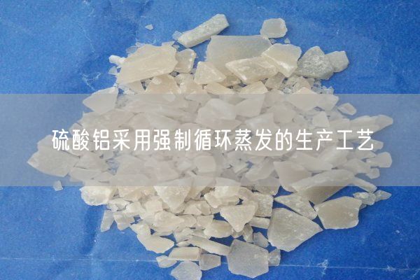 硫酸鋁采用強制循環(huán)蒸發(fā)的生產(chǎn)工藝(圖4)