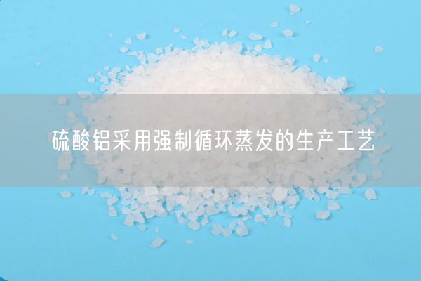 硫酸鋁采用強制循環(huán)蒸發(fā)的生產(chǎn)工藝(圖2)
