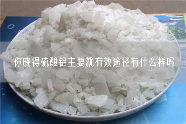 你曉得硫酸鋁主要就有效途徑有什么樣嗎
